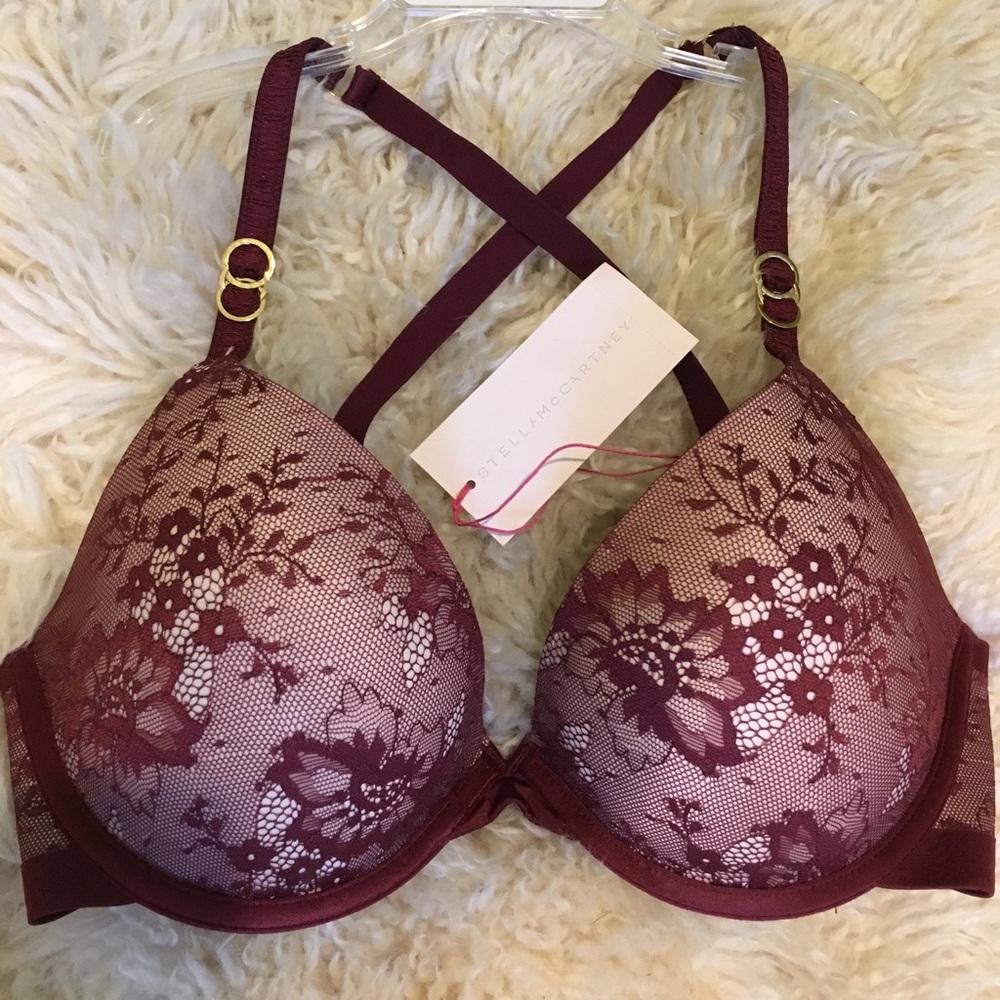 Stellla McCartney lace bra. No tags, was tried on but never worn.